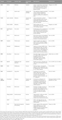 Application of calcium overload-based ion interference therapy in tumor treatment: strategies, outcomes, and prospects